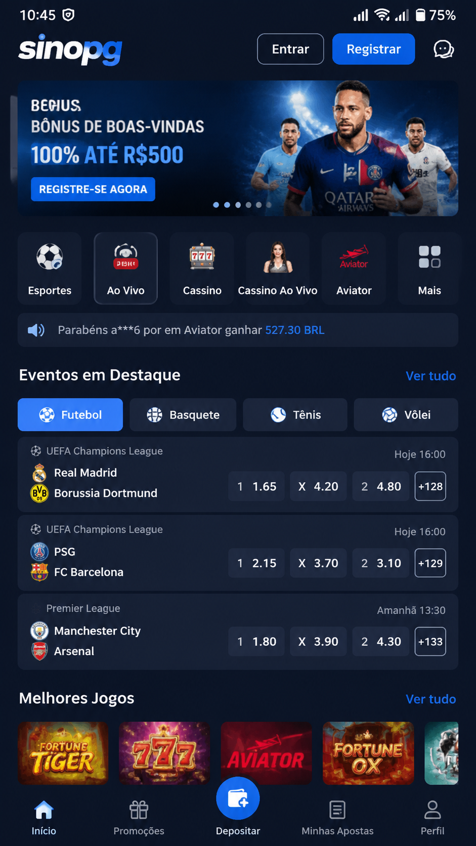 sinopg screenshot
