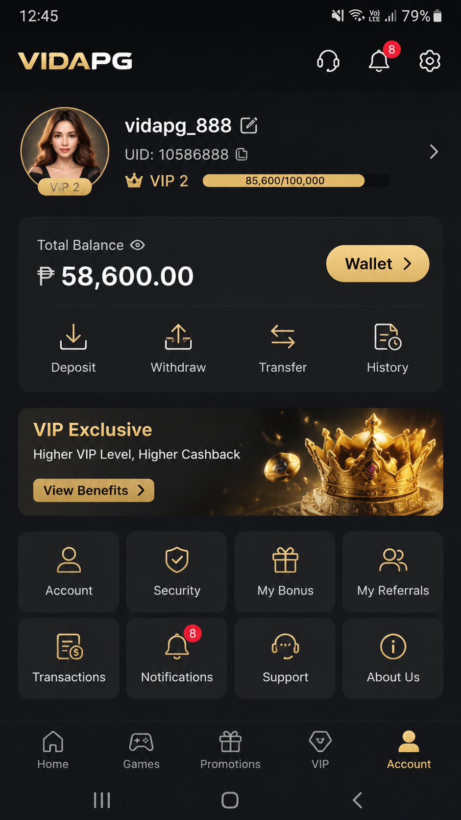 vidapg screenshot