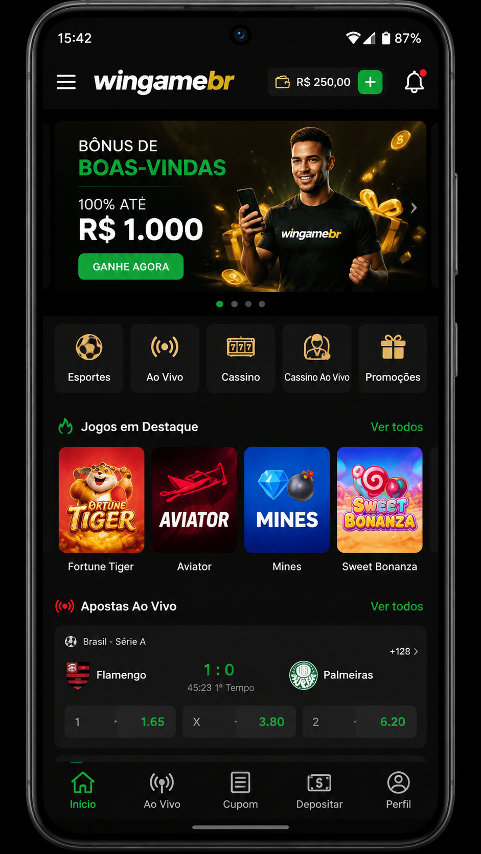 wingamebr screenshot